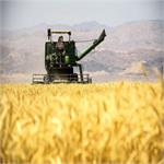 مجلس با واگذاری صندوق بیمه محصولات کشاورزی به سازمان خصوصی‌سازی مخالفت کرد